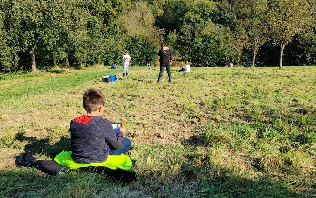 Découverte de l’Aire Terrestre Éducative par les 6èmes : un premier pas vers la nature !